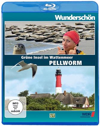 Pellworm - Grüne Insel im Wattenmeer