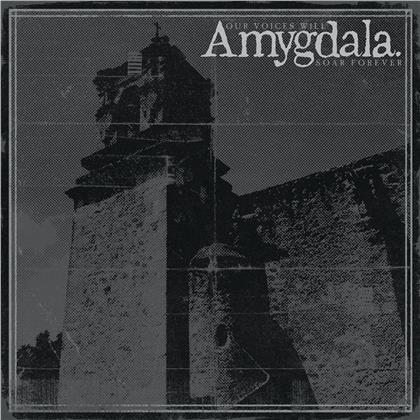 Amygdala - Our Voices Will Soar Forever (Opaque Violet Vinyl, LP)