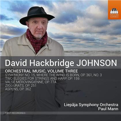 Liepaja Symphony Orchestra, David Hackbridge Johnson (*1963) & Paul Mann - Orchestral Music 3