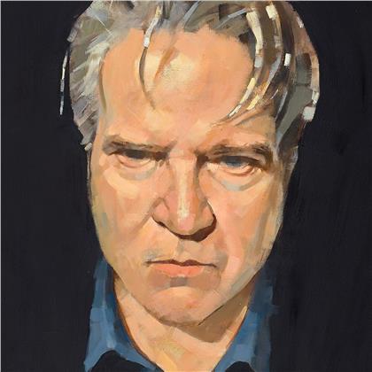Lloyd Cole - Guesswork (LP)