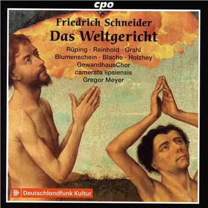 Friedrich Schneider (1786-1853), Gregor Meyer, Martina Rüping, Patrick Grahl, Gewandhaus Chor, … - Das Weltgericht (2 CDs)