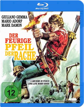 Der feurige Pfeil der Rache (1971) (Blu-ray + DVD)