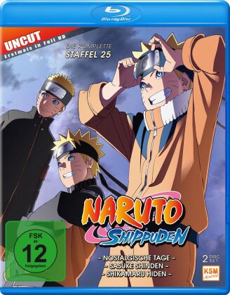 Naruto Shippuden - Staffel 25 (2 Blu-rays)