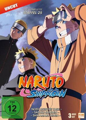 Naruto Shippuden - Staffel 25 (3 DVDs)