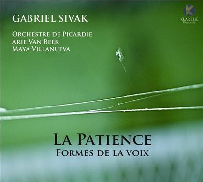 Gabriel Sivak, Arie van Beek & Orchestre De Picardie - La Patience