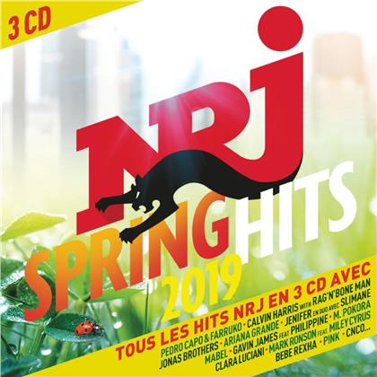 NRJ Spring Hits 2019 (3 CDs)