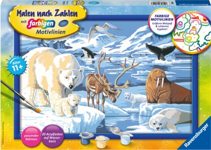 Ravensburger Malen nach Zahlen 28909 - Tiere der Arktis - Kinder ab 11 Jahren - Acrylmaltafel, Acrylfarben, Pinsel, Rahmen