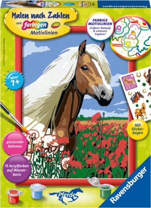 Ravensburger Malen nach Zahlen 28652 - Haflinger - Kinder ab 7 Jahren - Acrylmaltafel, Acrylfarben, Pinsel, Firnis, Rahmen