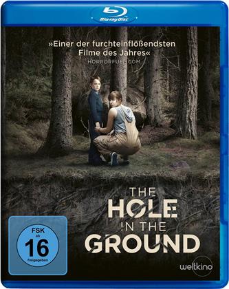 The Hole in the Ground (2019)