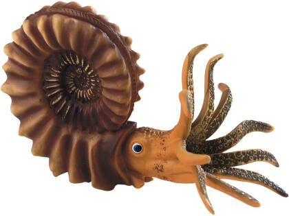 Ammonit - Spielfigur