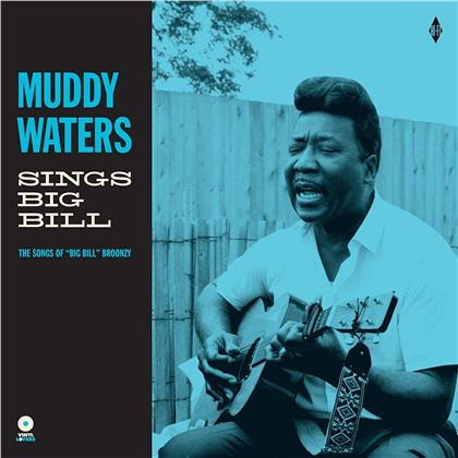 Muddy Waters - Sings 'Big Bill' (2019 Reissue, Vinyl Lovers, LP)