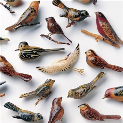 Kishi Bashi - Omoiyari (LP)