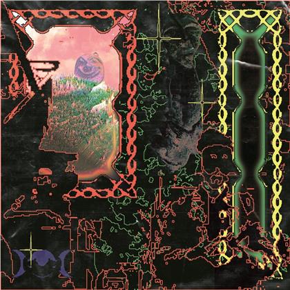 Slugabed - Any Attempt To Control The Environment... (2 LPs)
