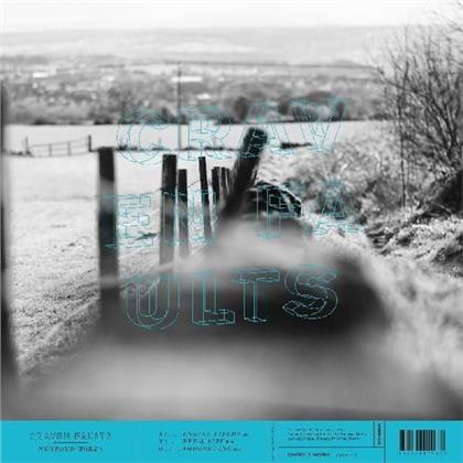 Craven Faults - Numroyd Works (12" Maxi)