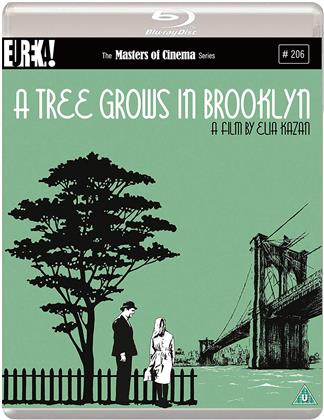 A Tree Grows In Brooklyn (1945) (Masters of Cinema, s/w)