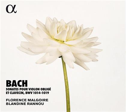 Florence Malgoire, Blandine Rannou & Johann Sebastian Bach (1685-1750) - Sonaten Für Violine & Cembalo (2 CDs)