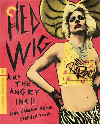 Hedwig and the Angry Inch (2001) (Criterion Collection)