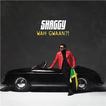 Shaggy - Wah Gwaan!? (Light Green & Yellow Vinyl, 2 LPs)