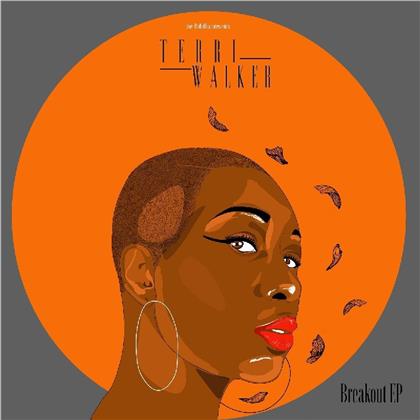 Terri Walker - Breakout (LP)