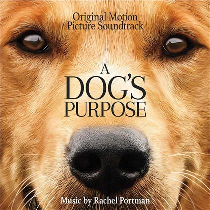 Rachel Portman - A Dog's Purpose - OST