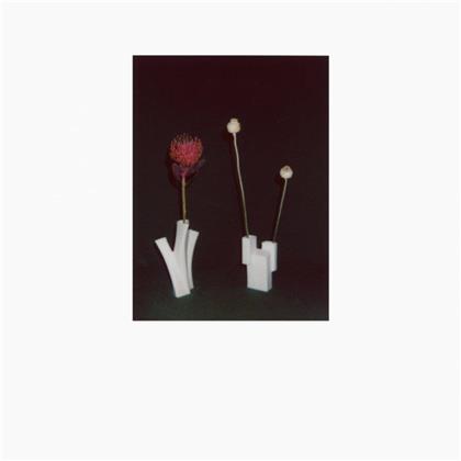 Felicia Atkinson - Flower & Vessel (LP)