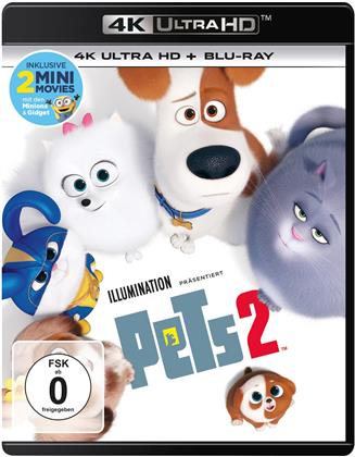 Pets 2 (2019) (4K Ultra HD + Blu-ray)