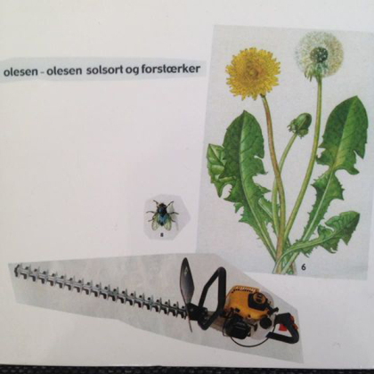 Olesen-Olesen - Solsort Og Forstaerker (LP)
