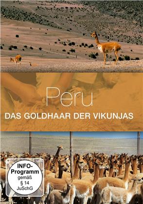 Peru, das Goldhaar von Vikunjas