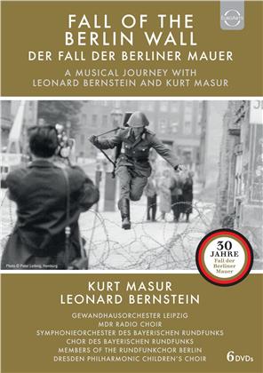 Der Fall der Berliner Mauer - Eine musikalische Reise mit Leonard Bernstein und Kurt Masur (6 DVDs)