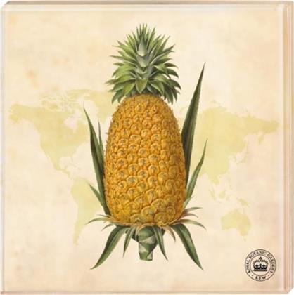 Kew Gardens Untersetzer "Ananas" - 2er-Set