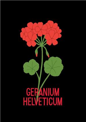 Poster Geranium A4
