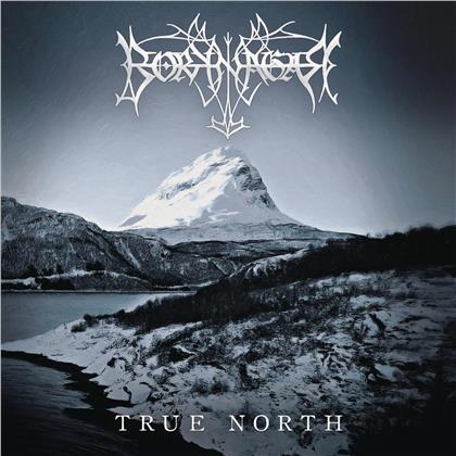 Borknagar - Borknagar - True North (2 LPs)