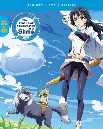 That Time I Got Reincarnated as a Slime - Season 1 - Part 1 (2 Blu-rays + 2 DVDs)