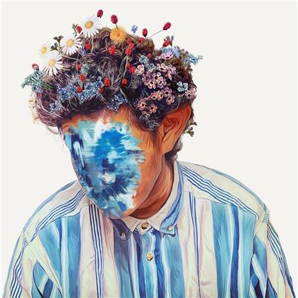 Hobo Johnson - The Fall of Hobo Johnson (LP)