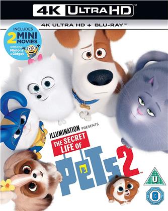 The Secret Life Of Pets 2 (2019) (4K Ultra HD + Blu-ray)