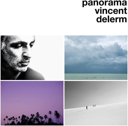 Vincent Delerm - Panorama (LP)
