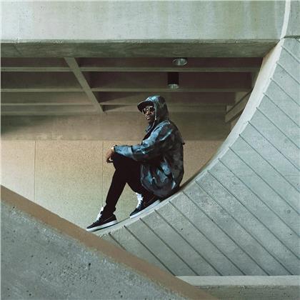 Busy Signal - Pieces Of The Puzzle (LP)