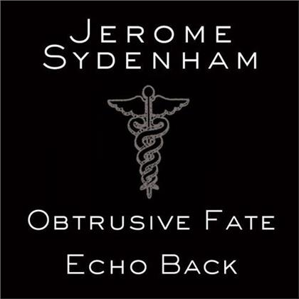 Jerome Sydenham - Echo Back (12" Maxi)