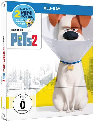 Pets 2 (2019) (Limited Edition, Steelbook)