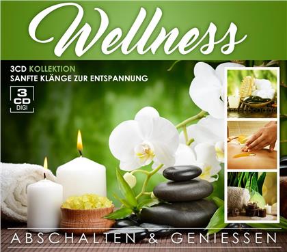 Wellness - Abschalten & Genießen (3 CDs)