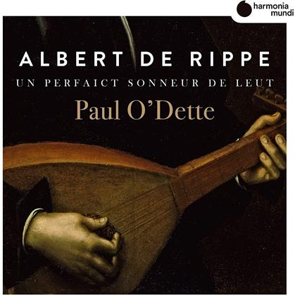 Paul Odette & Albert de Rippe - Works For Lute: Un Perfaict S