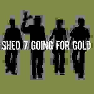 Shed Seven - Going For Gold (Greatest Hits) (2 LP)