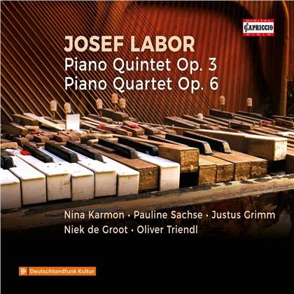 Josef Labor (1842-1924), Nina Karmon, Pauline Sachse, Justus Grimm, … - Piano Quartet/Piano Quintet