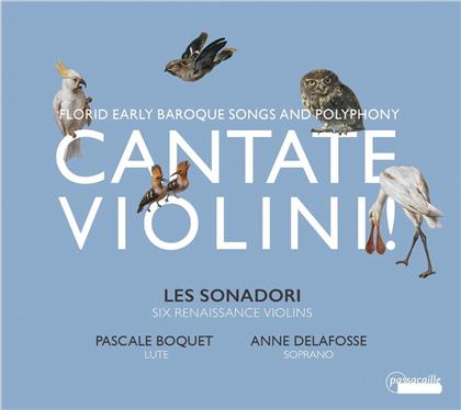 Les Sonadori, Anne Delafosse & Pascale Boquet - Cantate Violini! - Florid Early Baroque Songs And Polyphony