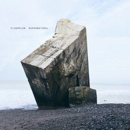 Floorplan - Supernatural (2 LPs)