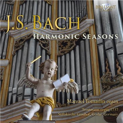 Johann Sebastian Bach (1685-1750) & Manuel Tomadin - Harmonic Seasons - Treutmann-Orgel 1737