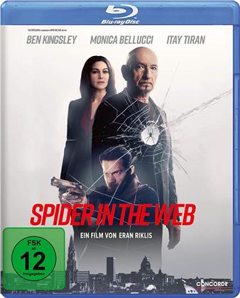 Spider in the Web (2019)