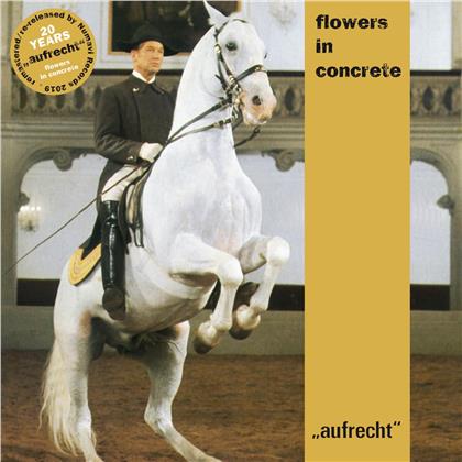 Flowers In Concrete - Aufrecht (Remastered, LP)