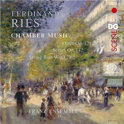 Ferdinand Ries & franz ensemble - Chamber Music - String Trio / Sextet