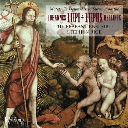 Johannes Lupi, Lupus Hellinck, Stephen Rice & The Brabant Ensemble - Choral Works